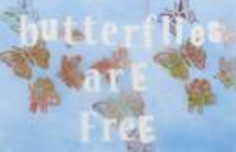 Bernie Taupin Bernie Taupin Butterflies Are Free (Original) (Framed)